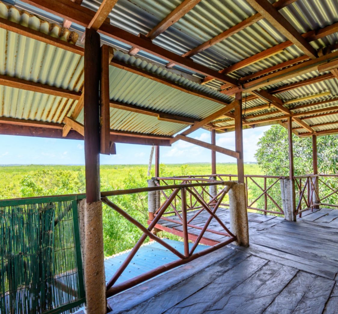 Luxury 2.7-acre creekfront property for sale in Mida Creek Watamu with ocean views, eco-lodge potential, and unique treehouse residence.