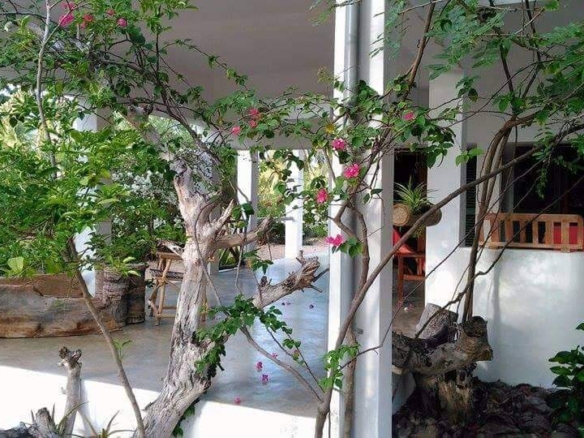 3-bedroom coastal home on 1-acre titled plot in Che Shale with solar panels, rainwater harvesting, balcony, and verandah. Expansion potential on adjoining 3/4-acre land.