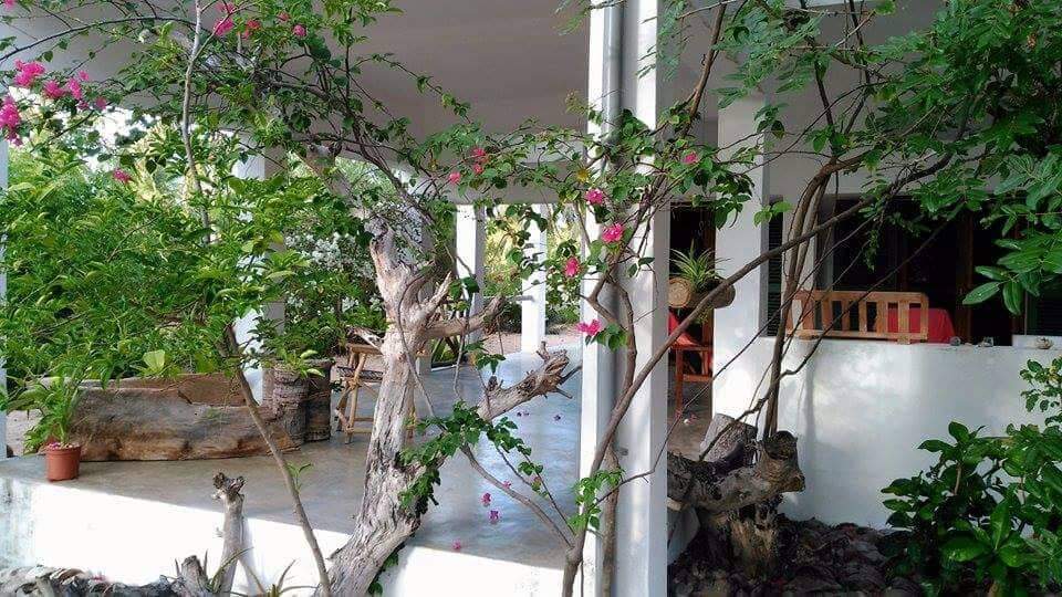 3-bedroom coastal home on 1-acre titled plot in Che Shale with solar panels, rainwater harvesting, balcony, and verandah. Expansion potential on adjoining 3/4-acre land.