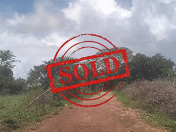 🌿 2 Acres for Sale in Kaoyeni, Malindi – Prime Hilltop Investment Opportunity