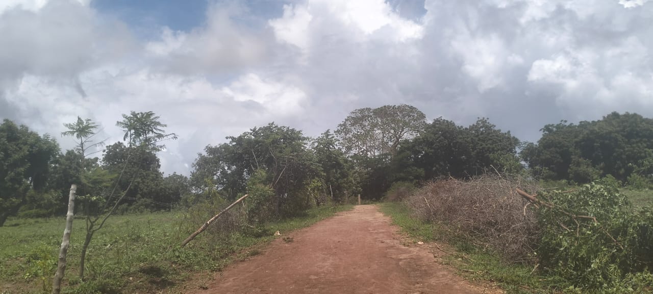 Kaoyeni 2 acres