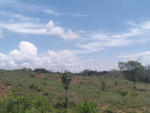Kaoyeni 2 acres