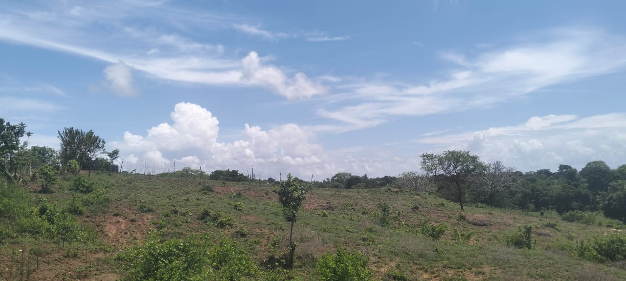 Kaoyeni 2 acres
