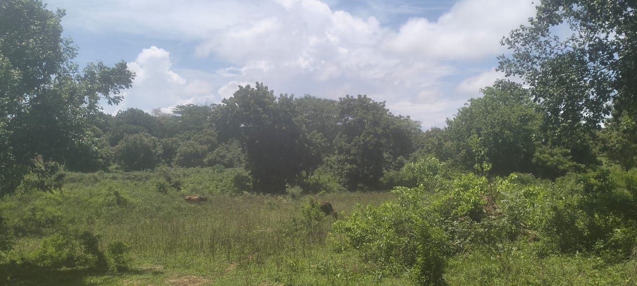 Kaoyeni 2 acres