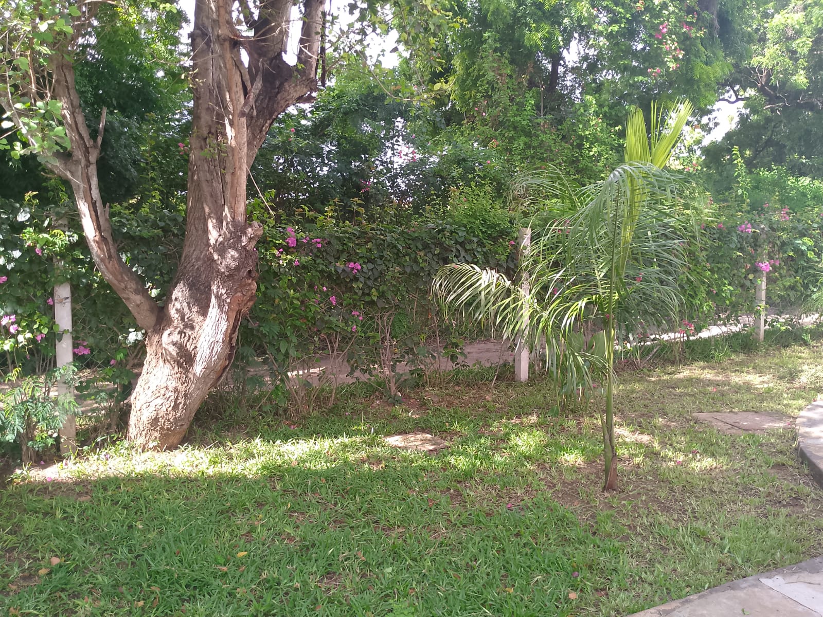 2-bedroom duplex apartment for sale at Iguana Beach Malindi with double kitchen, swimming pool, verandah, and secure low-density compound near Lamu Road.
