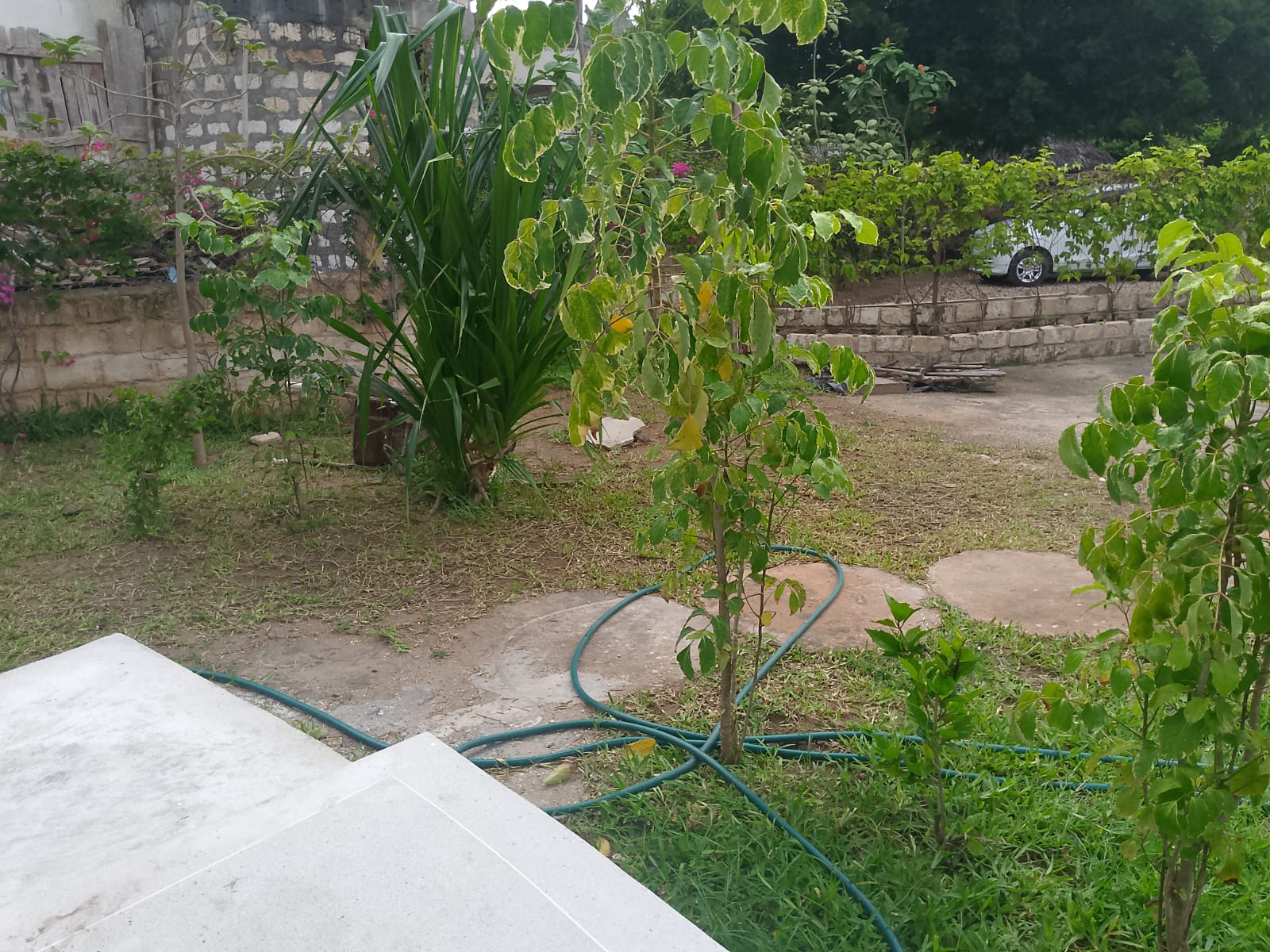 Luxury 2-bedroom duplex apartment at Iguana Beach Malindi with rooftop pool, double kitchen, verandah, and secure low-density compound near Lamu Road.