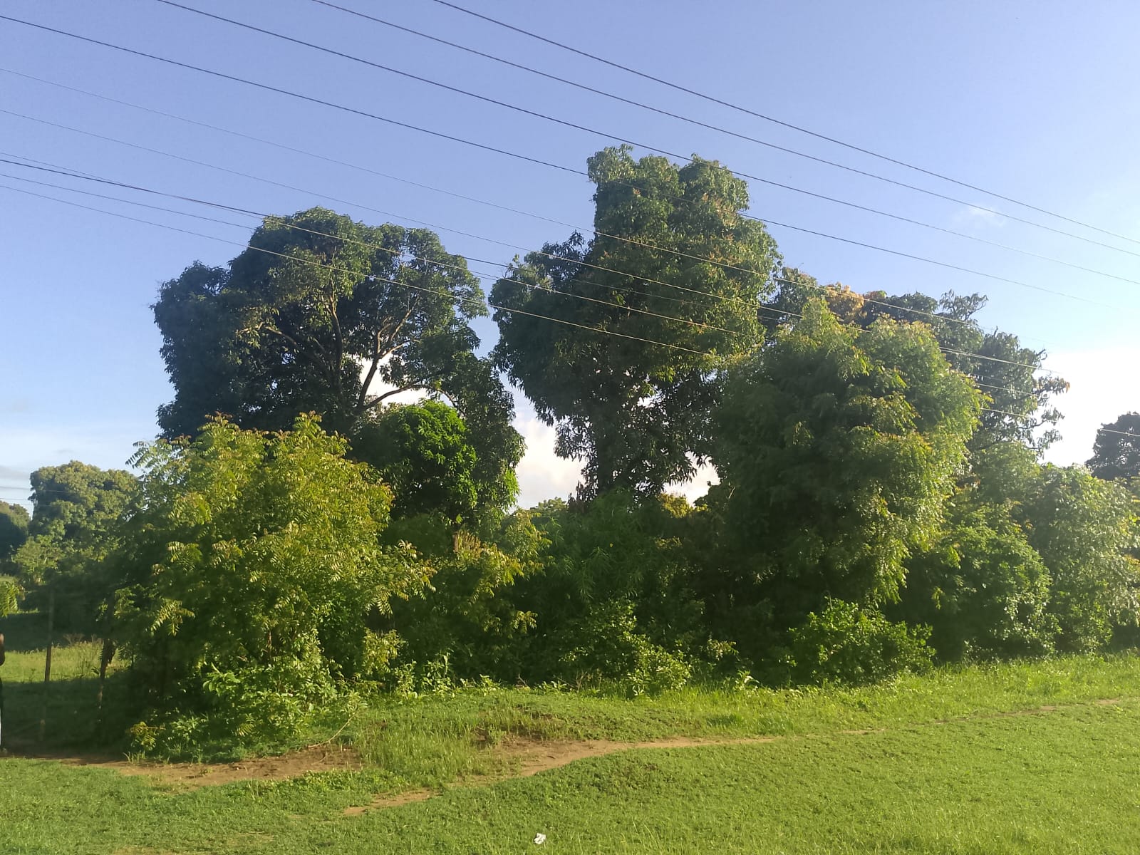 5.2-acre freehold land for sale along Mombasa Road ideal for commercial, residential, or mixed-use development.