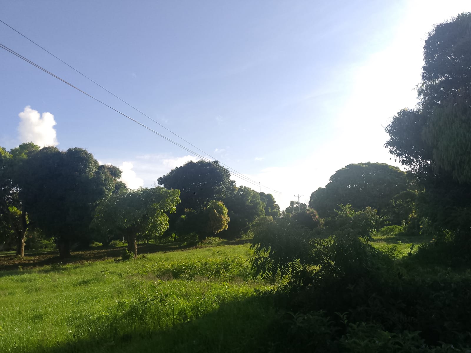 5.2-acre freehold land for sale along Mombasa Road ideal for commercial, residential, or mixed-use development.