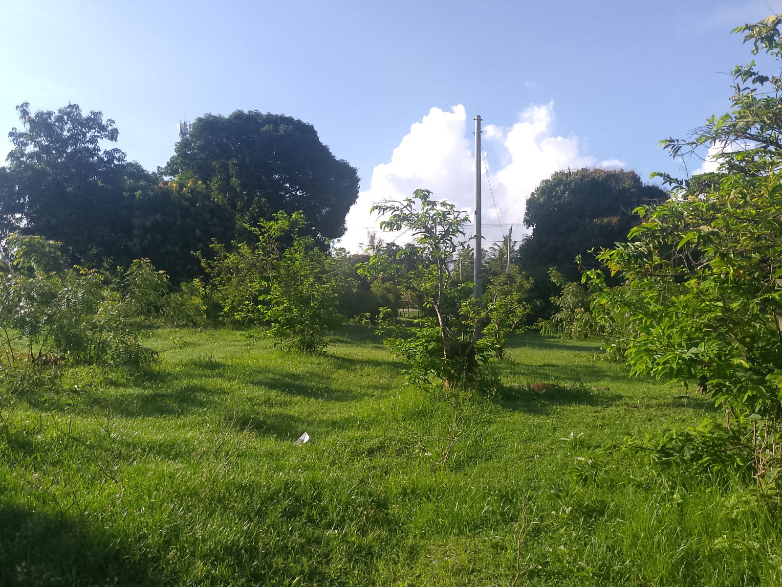 5.2-acre freehold land for sale along Mombasa Road ideal for commercial, residential, or mixed-use development.