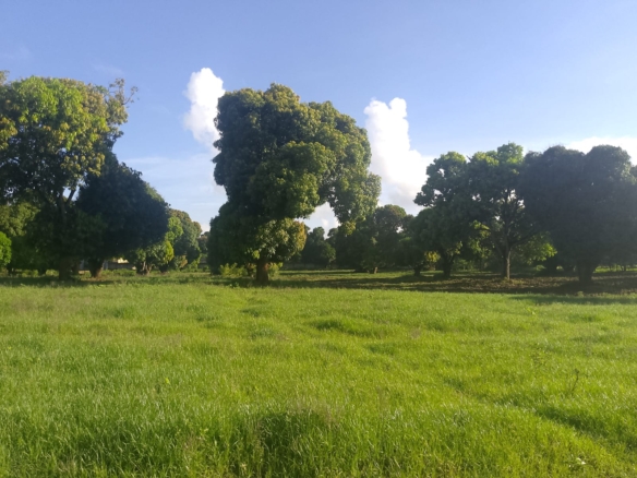 5.2-acre freehold land for sale along Mombasa Road ideal for commercial, residential, or mixed-use development.
