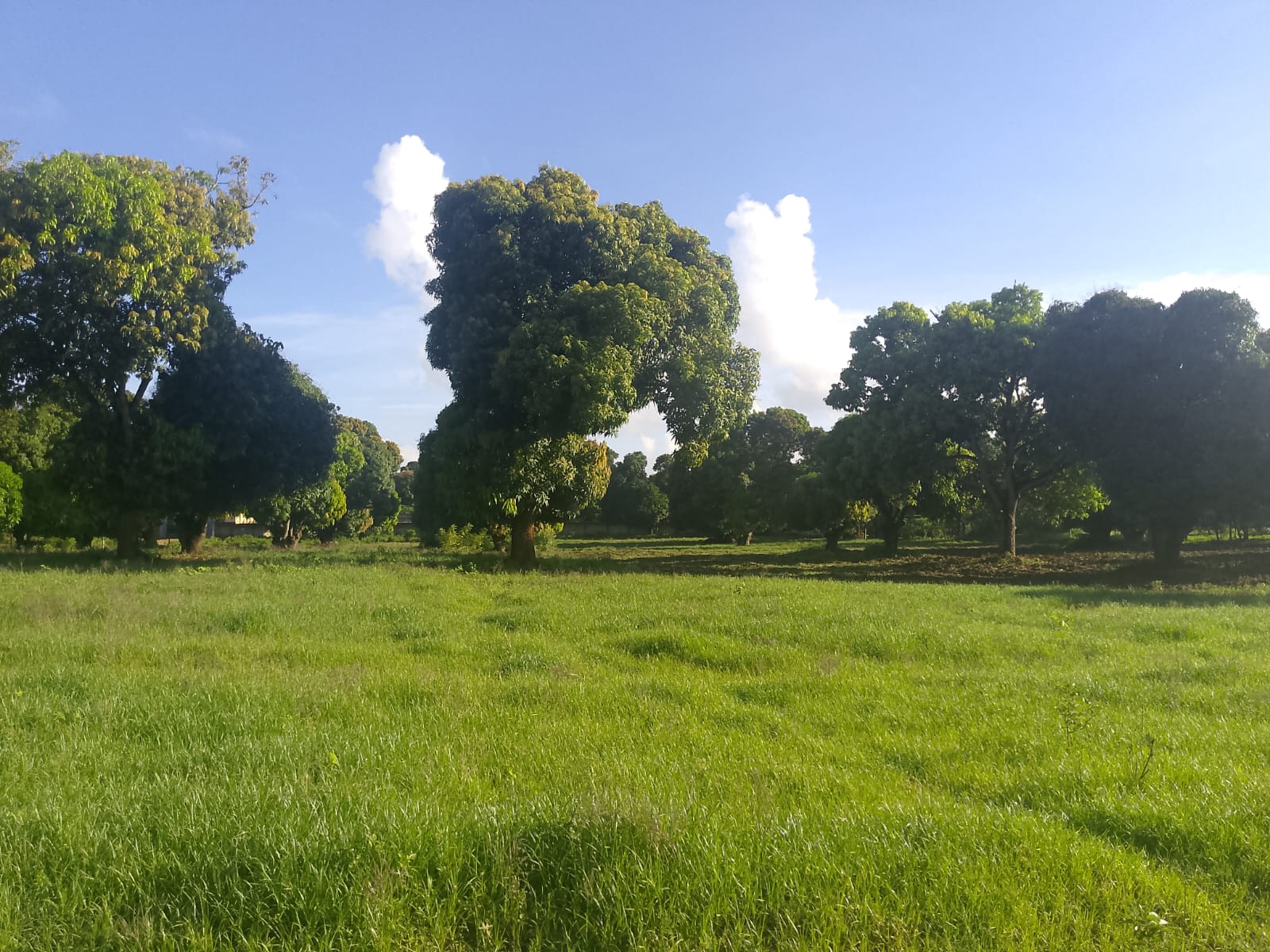 5.2-acre freehold land for sale along Mombasa Road ideal for commercial, residential, or mixed-use development.