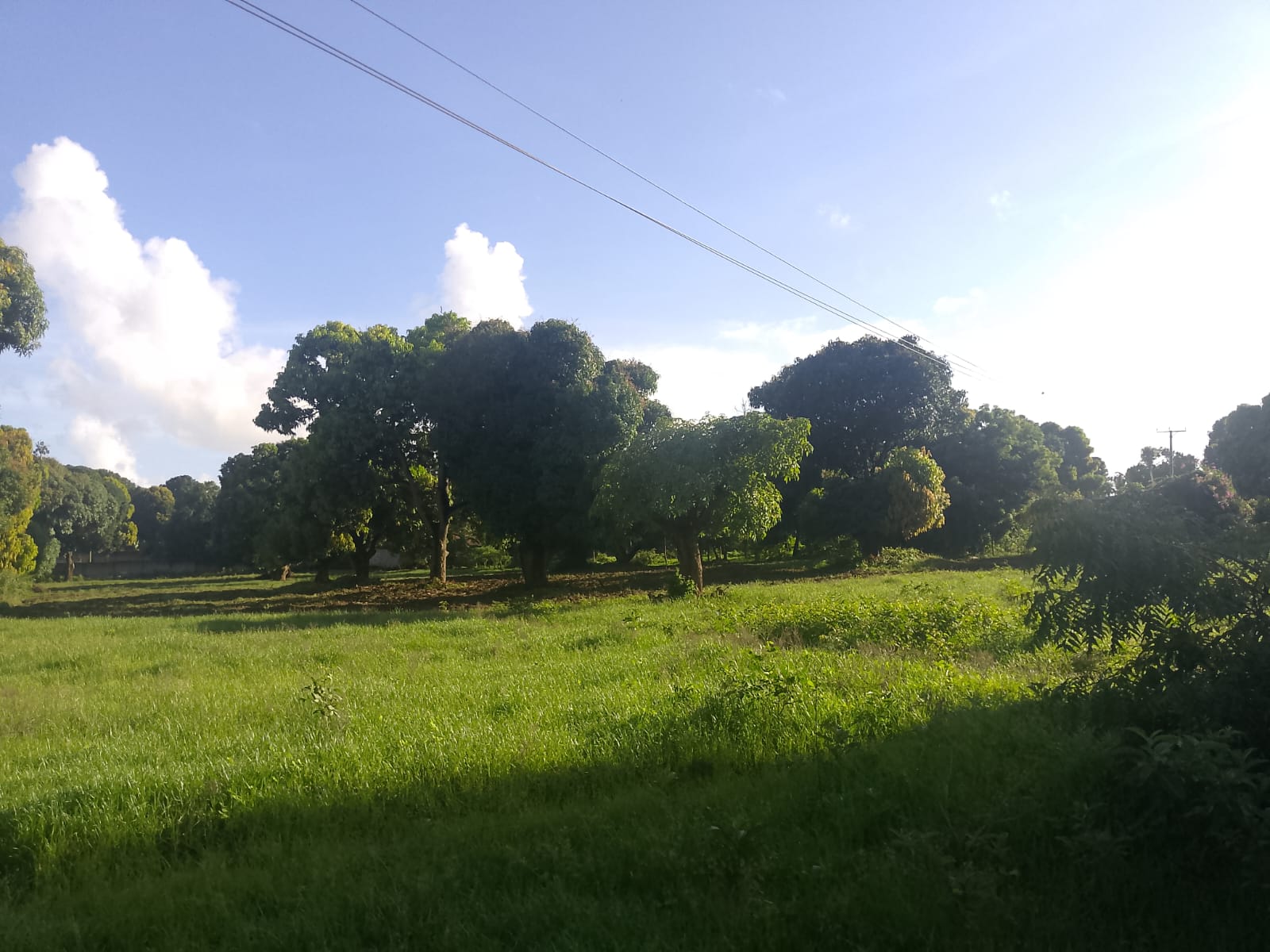 5.2-acre freehold land for sale along Mombasa Road ideal for commercial, residential, or mixed-use development.