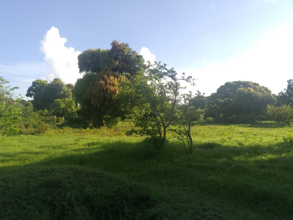 5.2-acre freehold land for sale along Mombasa Road ideal for commercial, residential, or mixed-use development.