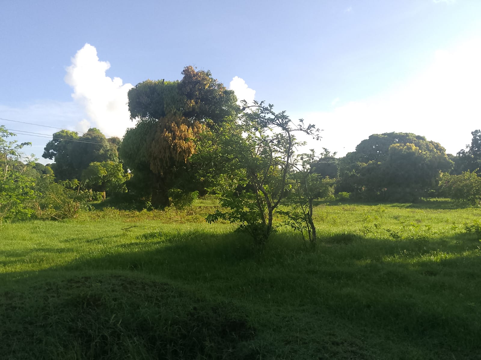 5.2-acre freehold land for sale along Mombasa Road ideal for commercial, residential, or mixed-use development.