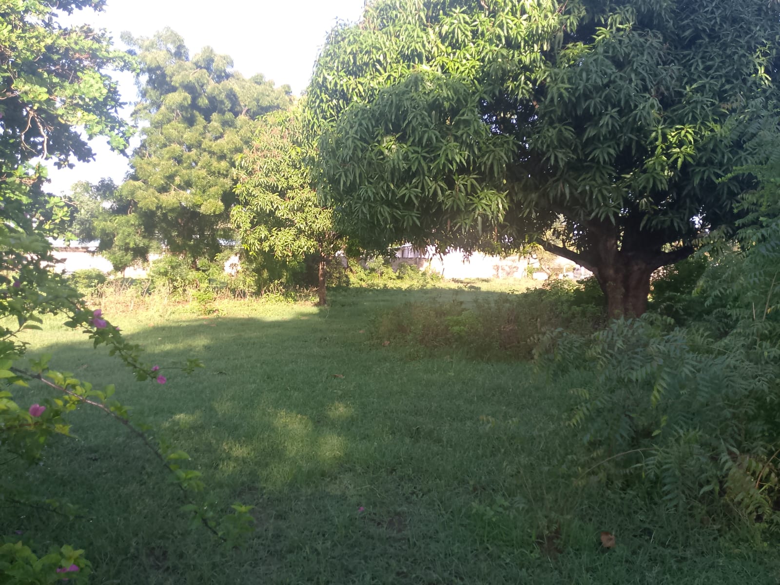 5.2-acre freehold land for sale along Mombasa Road ideal for commercial, residential, or mixed-use development.