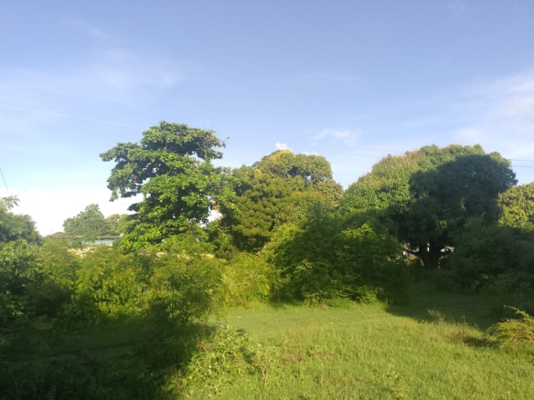 5.2-acre freehold land for sale along Mombasa Road ideal for commercial, residential, or mixed-use development.
