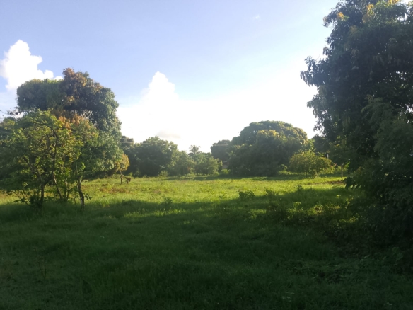 5.2-acre freehold land for sale along Mombasa Road ideal for commercial, residential, or mixed-use development.