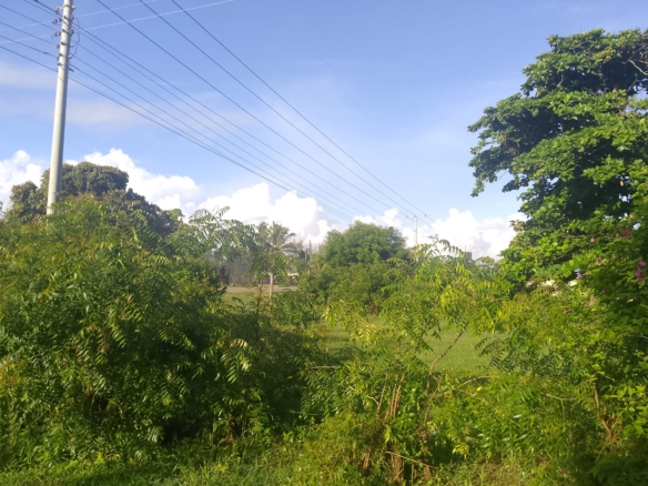 5.2-acre freehold land for sale along Mombasa Road ideal for commercial, residential, or mixed-use development.