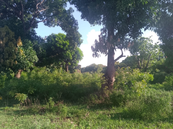 5.2-acre freehold land for sale along Mombasa Road ideal for commercial, residential, or mixed-use development.