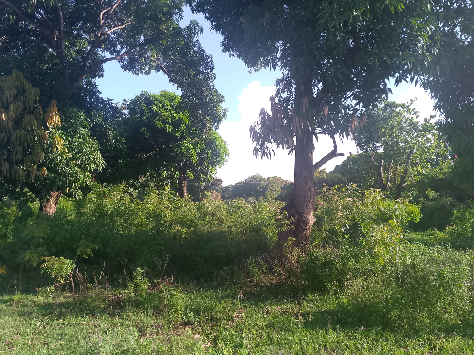 5.2-acre freehold land for sale along Mombasa Road ideal for commercial, residential, or mixed-use development.