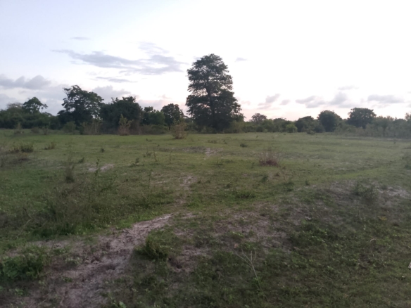 1-acre land for sale in Kakuyuni with incomplete 3-bedroom house and three shop units, ready title deed, near main road.