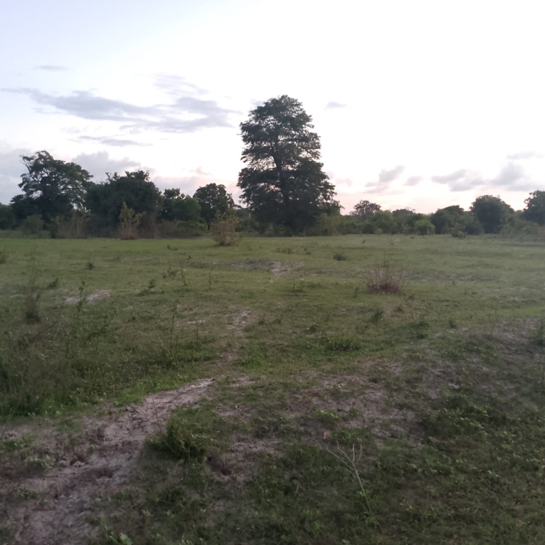 1-acre land for sale in Kakuyuni with incomplete 3-bedroom house and three shop units, ready title deed, near main road.