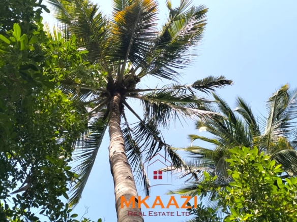 3-bedroom coastal home on 1-acre titled plot in Che Shale with solar panels, rainwater harvesting, balcony, and verandah. Expansion potential on adjoining 3/4-acre land.