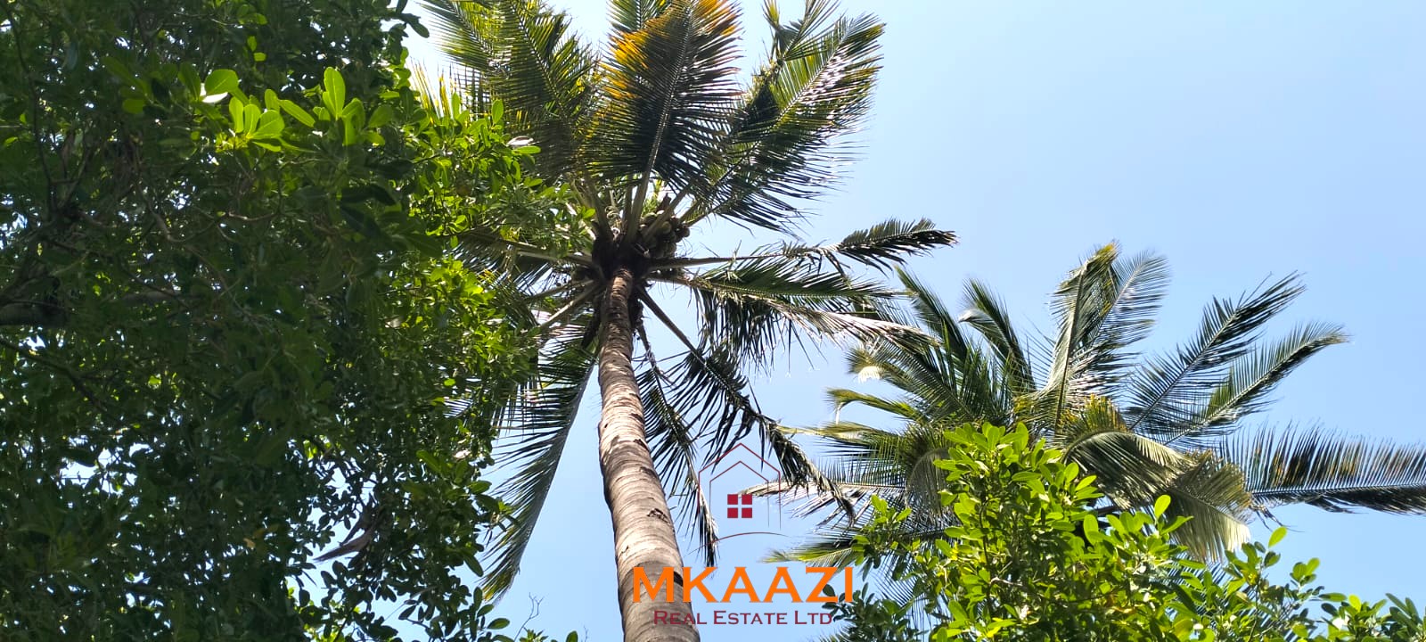 3-bedroom coastal home on 1-acre titled plot in Che Shale with solar panels, rainwater harvesting, balcony, and verandah. Expansion potential on adjoining 3/4-acre land.