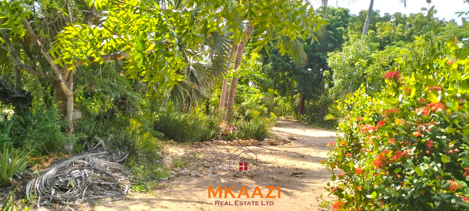 3-bedroom coastal home on 1-acre titled plot in Che Shale with solar panels, rainwater harvesting, balcony, and verandah. Expansion potential on adjoining 3/4-acre land.