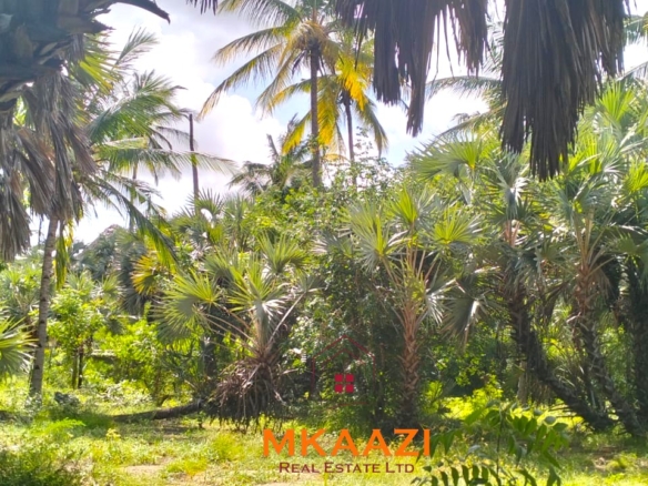 3-bedroom coastal home on 1-acre titled plot in Che Shale with solar panels, rainwater harvesting, balcony, and verandah. Expansion potential on adjoining 3/4-acre land.