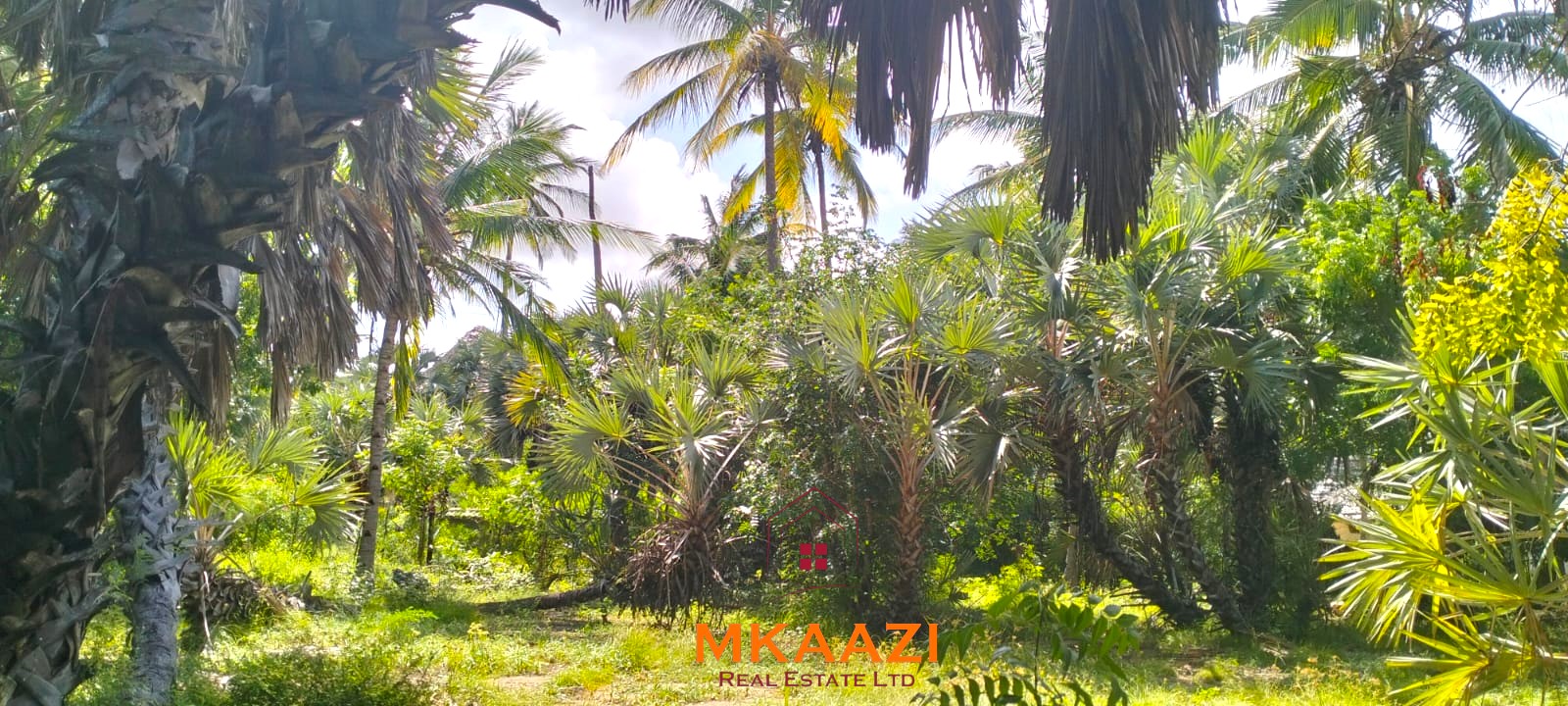 3-bedroom coastal home on 1-acre titled plot in Che Shale with solar panels, rainwater harvesting, balcony, and verandah. Expansion potential on adjoining 3/4-acre land.