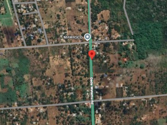 50x100 plot for sale near Gede on Watamu Road with road frontage, mother title available, and high investment potential in a fast-growing area.