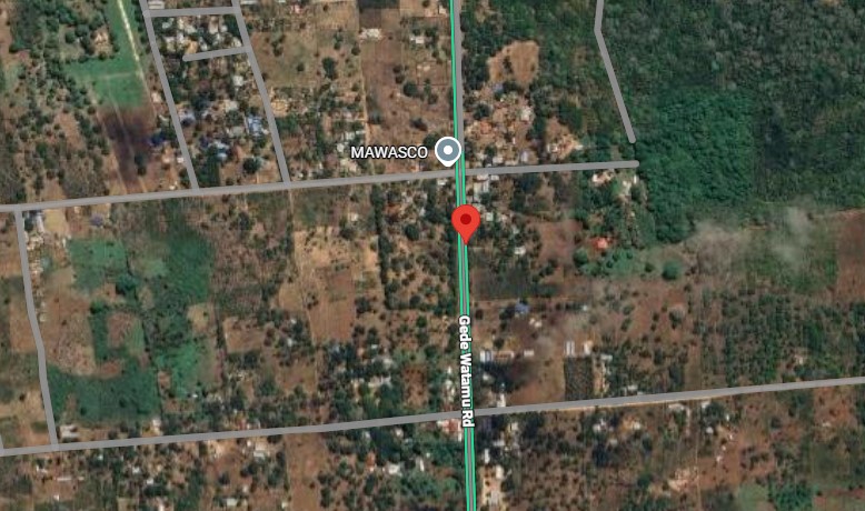 50x100 plot for sale near Gede on Watamu Road with road frontage, mother title available, and high investment potential in a fast-growing area.