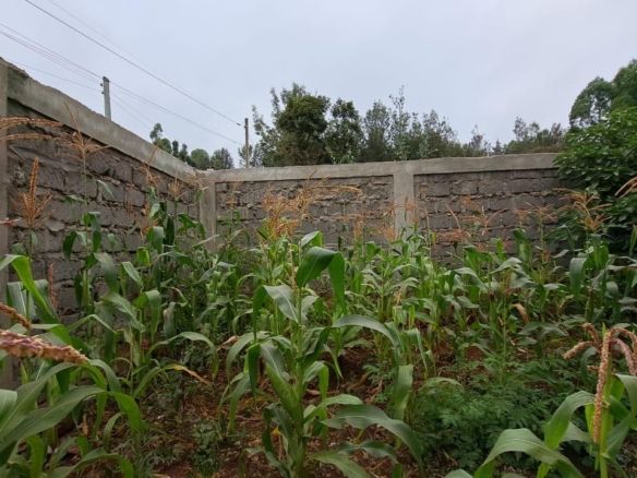 7 bedroom all ensuite house for sale in Ngong Oloolua on 60x60 plot with basement unit