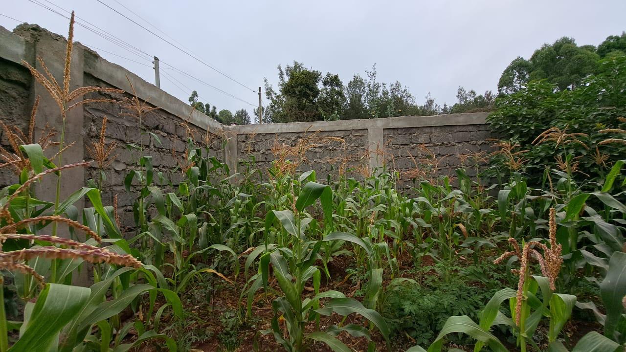 7 bedroom all ensuite house for sale in Ngong Oloolua on 60x60 plot with basement unit