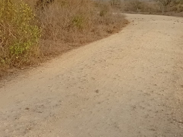 48 acres fertile land for sale near Marafa Malindi with road frontage close to tarmac total price 5.76M