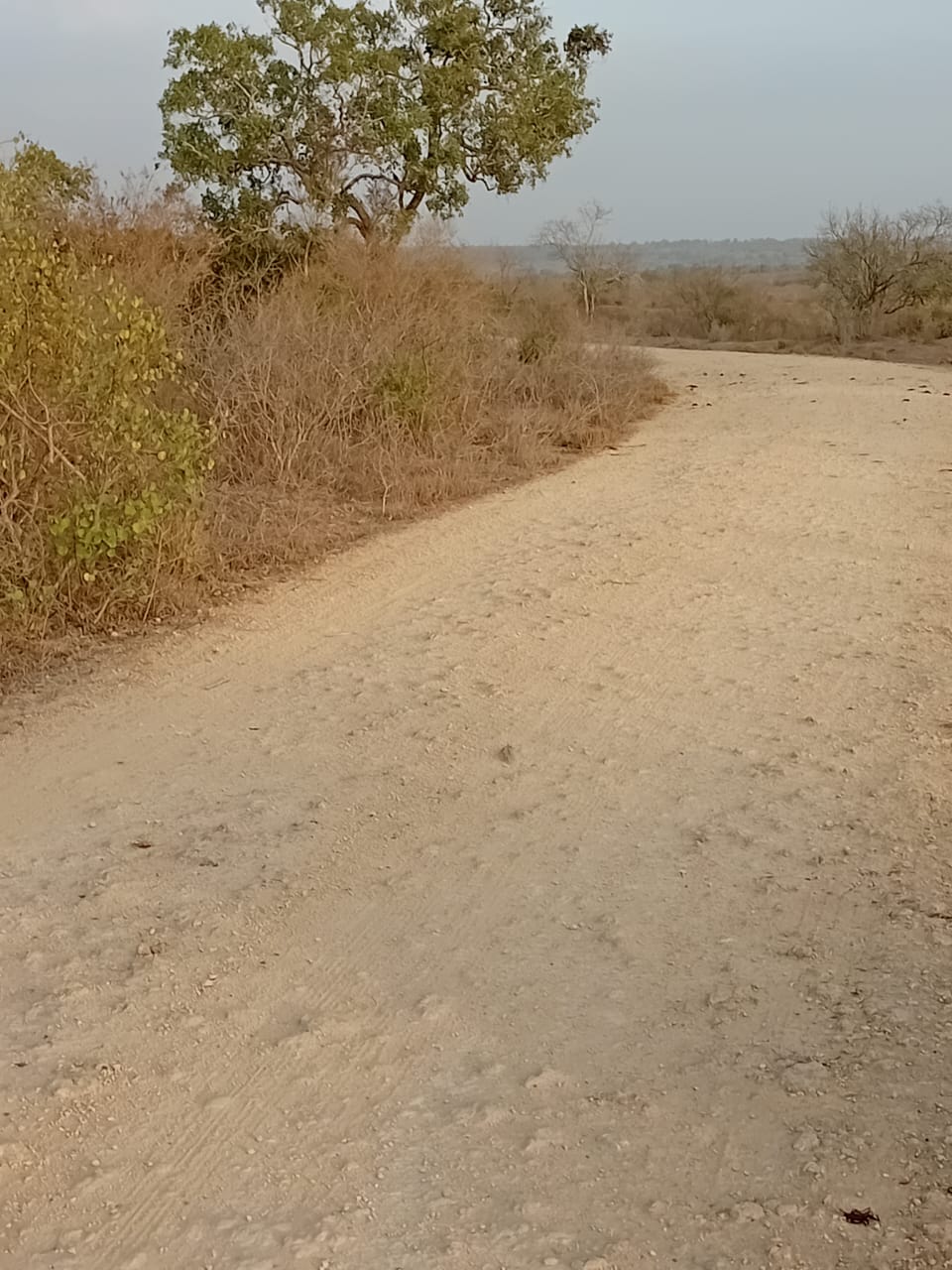 48 acres fertile land for sale near Marafa Malindi with road frontage close to tarmac total price 5.76M