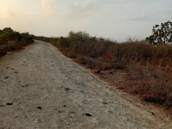 48 acres fertile land for sale near Marafa Malindi with road frontage close to tarmac total price 5.76M