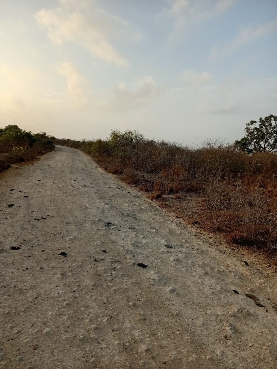 48 acres fertile land for sale near Marafa Malindi with road frontage close to tarmac total price 5.76M