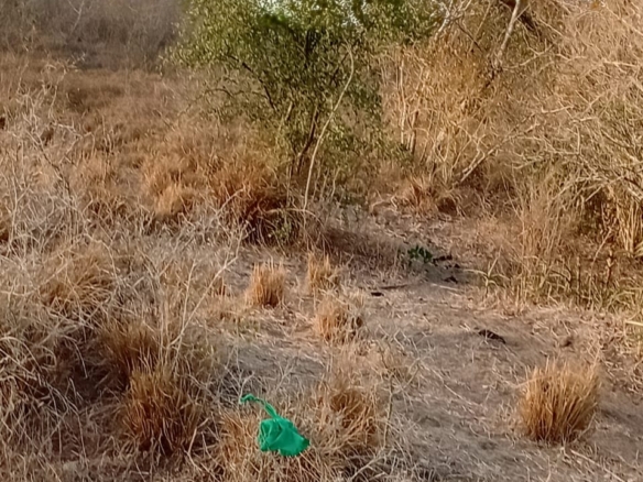 48 acres fertile land for sale near Marafa Malindi with road frontage close to tarmac total price 5.76M