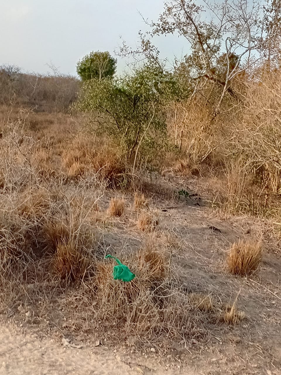 48 acres fertile land for sale near Marafa Malindi with road frontage close to tarmac total price 5.76M