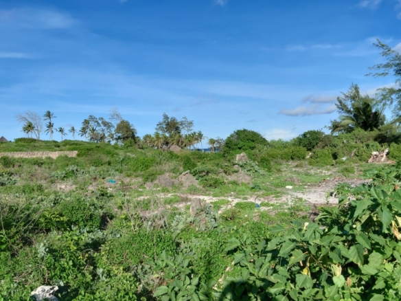 4 acres beachfront land for sale in Watamu Papa Remo sandy beach prime oceanfront property Kenya