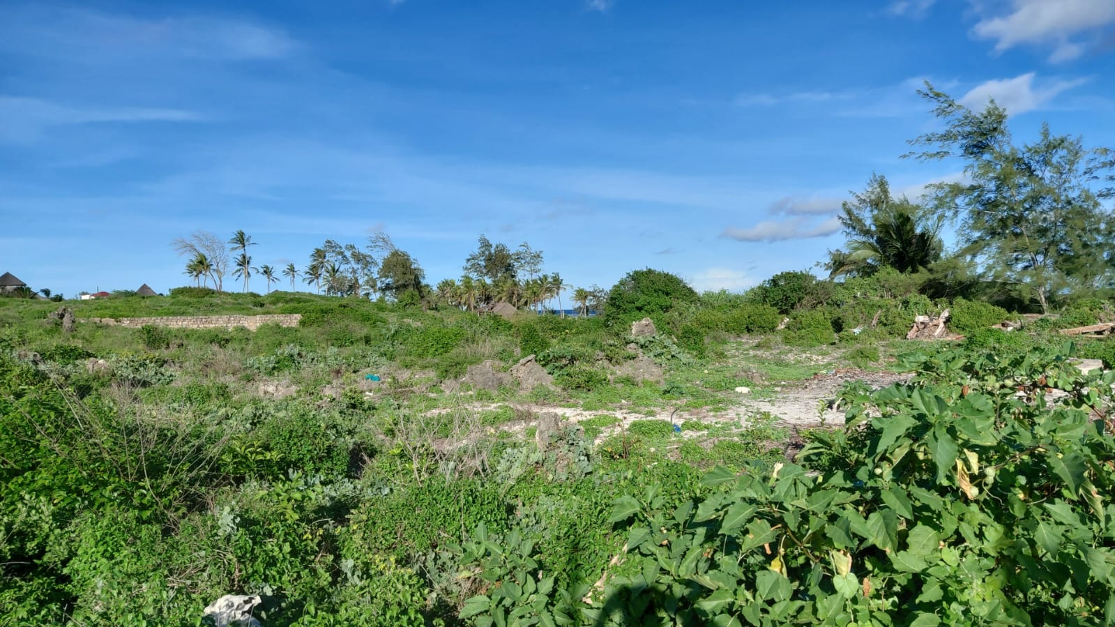4 acres beachfront land for sale in Watamu Papa Remo sandy beach prime oceanfront property Kenya