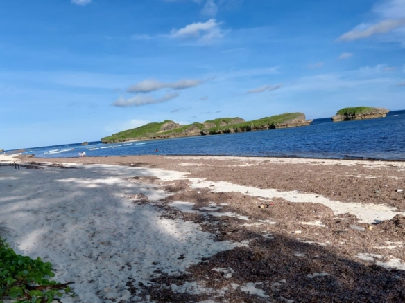 4 acres beachfront land for sale in Watamu Papa Remo sandy beach prime oceanfront property Kenya