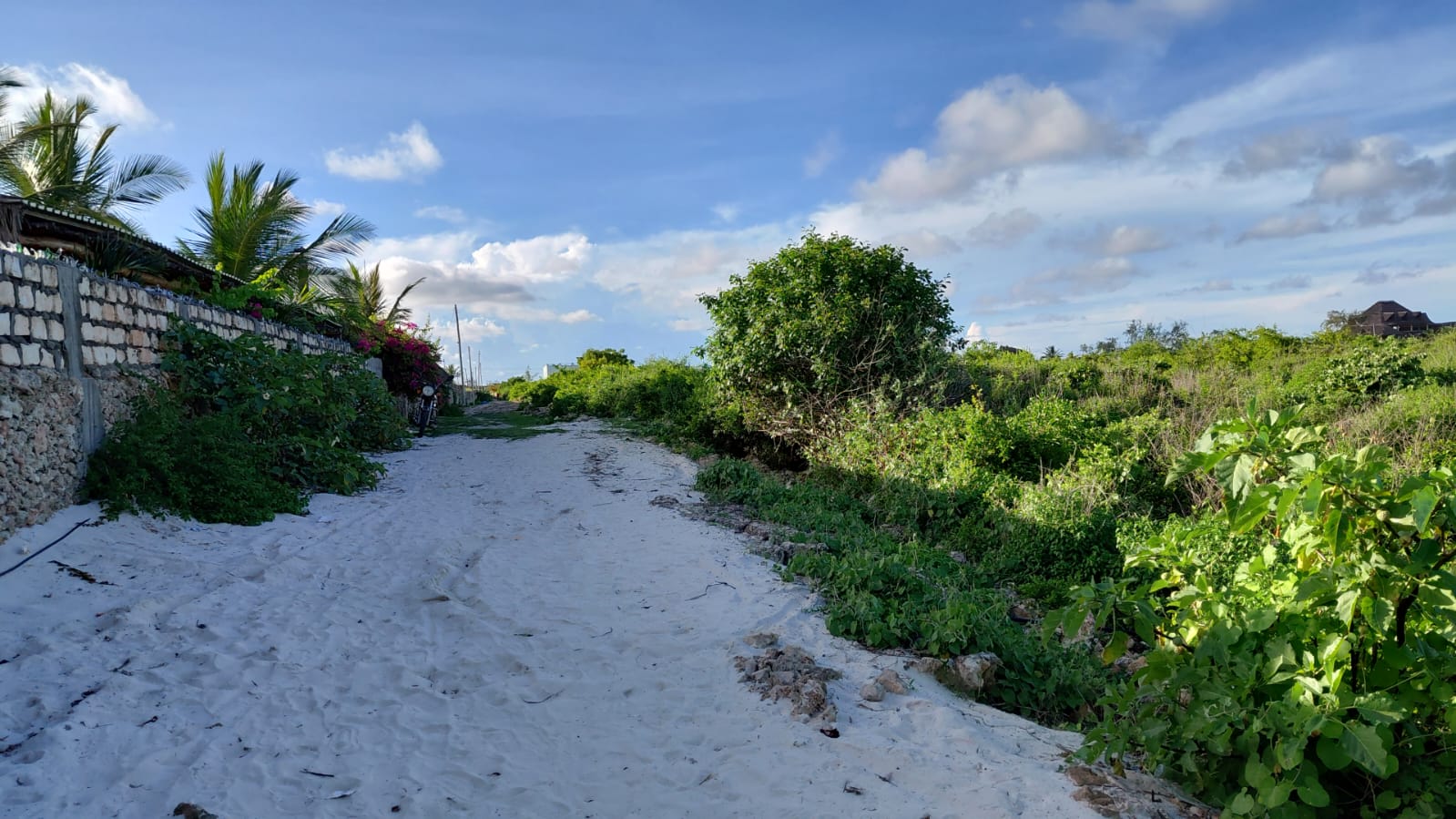 4 acres beachfront land for sale in Watamu Papa Remo sandy beach prime oceanfront property Kenya