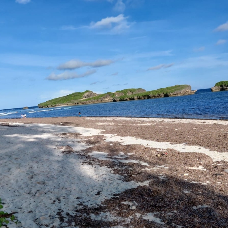 4 acres beachfront land for sale in Watamu Papa Remo sandy beach prime oceanfront property Kenya