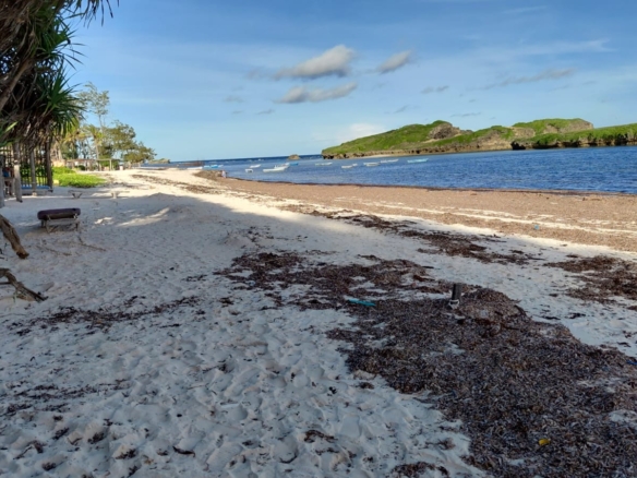 4 acres beachfront land for sale in Watamu Papa Remo sandy beach prime oceanfront property Kenya