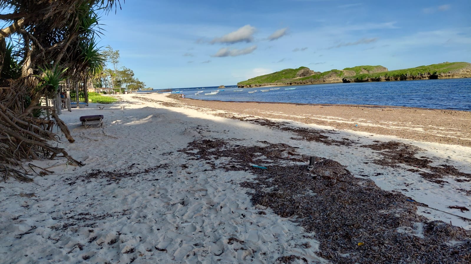 4 acres beachfront land for sale in Watamu Papa Remo sandy beach prime oceanfront property Kenya