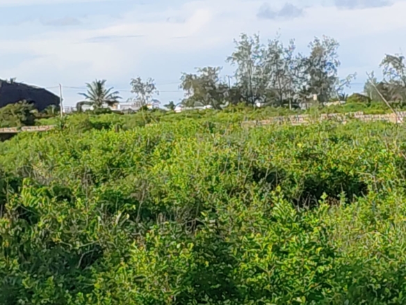 4 acres beachfront land for sale in Watamu Papa Remo sandy beach prime oceanfront property Kenya