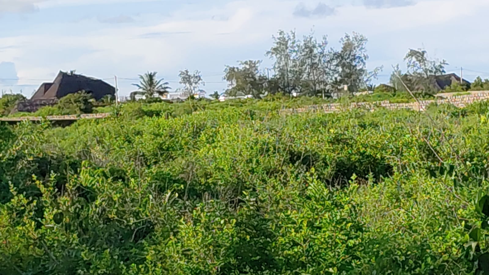 4 acres beachfront land for sale in Watamu Papa Remo sandy beach prime oceanfront property Kenya